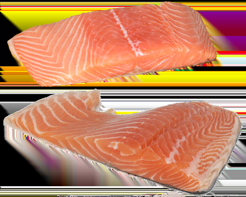 fresh salmon fish rich in omega-3