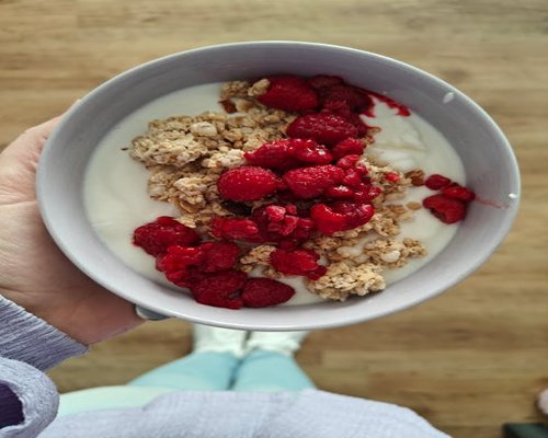 probiotic yogurt in bowl
